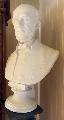 Cygnaeus